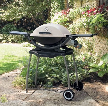 Toy Adventures » Blog Archive » 220 Portable Gas Grill